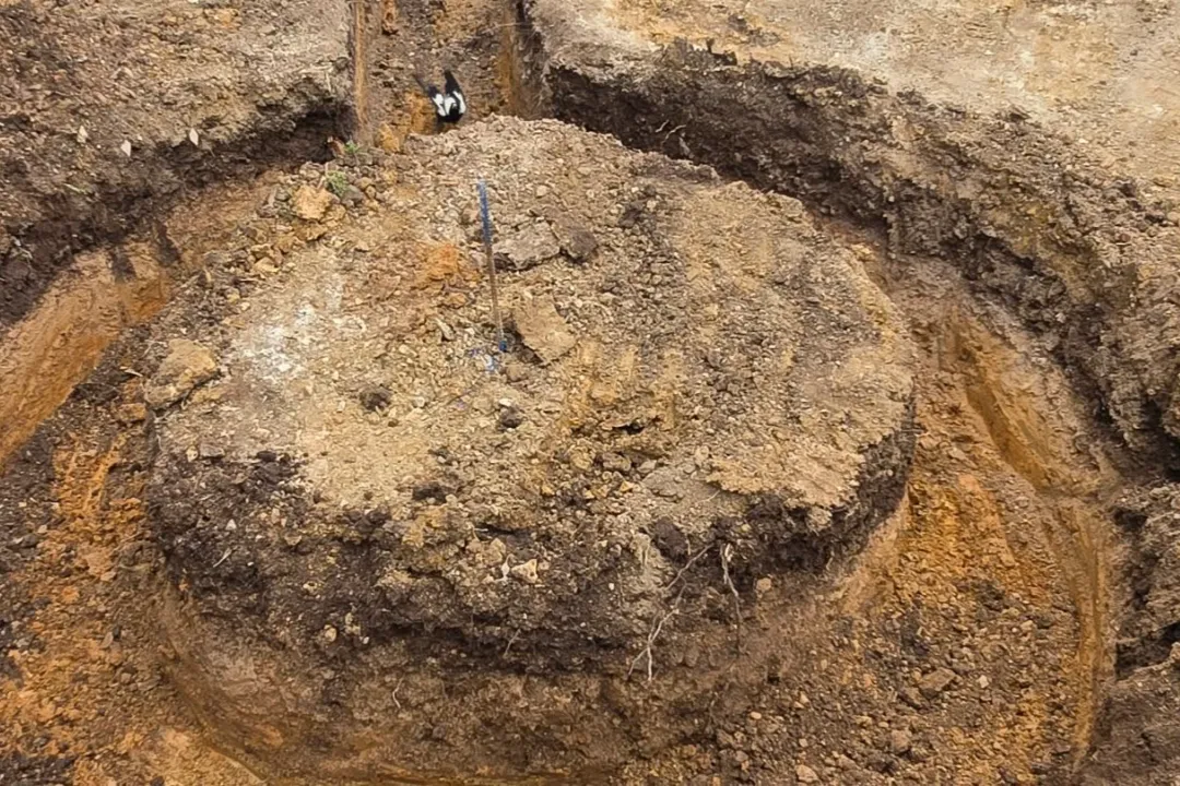 Land Clearing Warragul